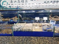 -高佳庄·舟山海鲜(海景旗舰店)