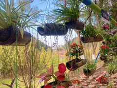 -神光山国家森林公园