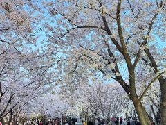 -龙美术馆西岸馆-停车场