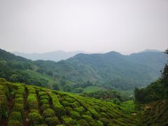 -西湖风景区十里琅珰-五云山