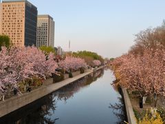 -海棠花溪(元大都城垣遗址公园)