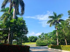 -三亚亚龙湾金棕榈度假酒店