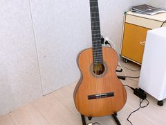 -大象音乐·吉他·架子鼓·声乐(双井店)