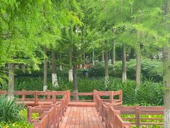 -八卦田遗址公园