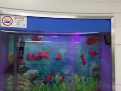 -雅悦齿科(顾村公园店)