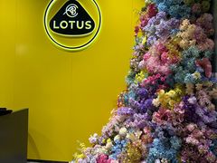 -莲花跑车(国贸商城店)