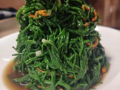 虫草花拌沙葱-阿西娅·西北妈妈拿手菜(华联店)