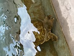 -向外鱼乐·土菜·虹鳟鱼