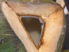 -东椰·海南椰子鸡火锅(朝阳门店)