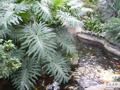 P1000641-绿色时代大酒店