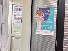 -伟伟宠物医院·CT影像中心·瑞派犬猫综合性门诊(汉口总院)