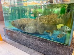 -聚福宝合苑食府(南头镇店)