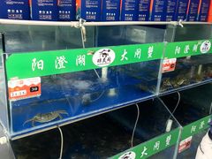 -阳澄湖大闸蟹·琼灵阁牌品牌连锁(吴中总店)