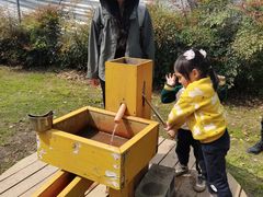-前小桔亲子创意农场·草莓采摘·露营烧烤