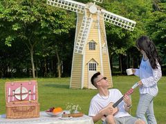 -南宁良凤江国家森林公园