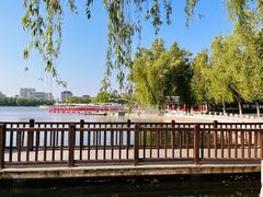 -莲花池公园