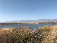 -野鸭湖国家湿地公园