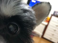 -海底捞火锅(龙湖三千集店)