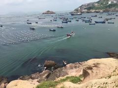 -枸杞岛