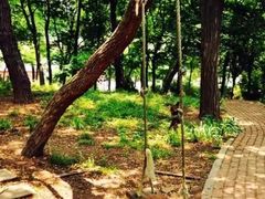 -大连理工大学(凌水校区)