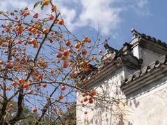 -篁岭景区