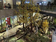 -湖南省地质博物馆