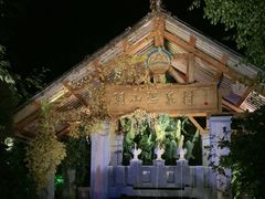 -腾冲洞山温泉村