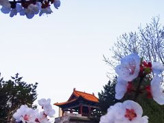 -西安世博园