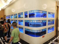 水产区-隆聚·时令海鲜(洪兴店)