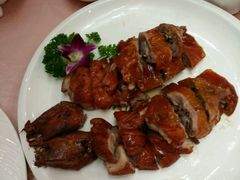-东方御宴海鲜酒楼(棕泉酒店)