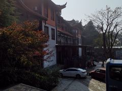 -铁山坪森林公园