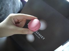 88玫瑰味的马卡龙-Paul Lafayet(K11 Art Mall店)