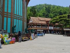 -西双版纳原始森林公园