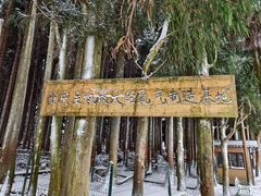 -武陵山森林公园