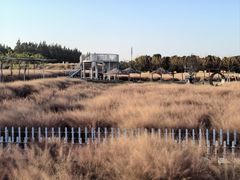 -嘉北郊野公园