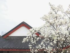 -堤角公园