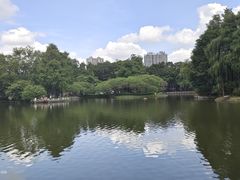 -晓港公园