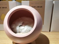 -九木杂物社(崂山丽达店)