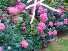 -人民公园(罗湖区)