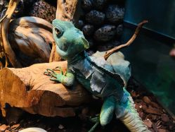 -未来动物城动物主题公园(大悦城店)