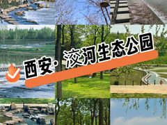 -洨河生态公园