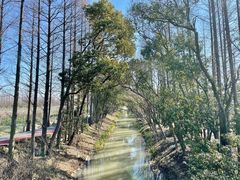 -上海长兴岛郊野公园