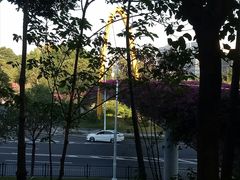 -玉树公园