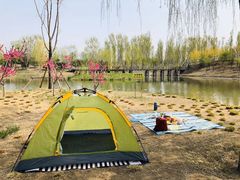 -东郊湿地公园