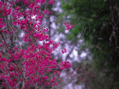 -福建鲤鱼洲酒店