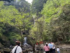 -石台牯牛降景区