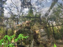 -海南热带野生动植物园