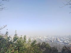 -大蜀山国家森林公园