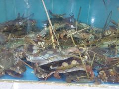 -源海渔村·现捞海鲜(大角湾店)