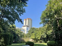 -金花茶公园